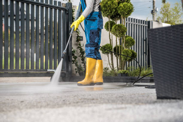 Deck Cleaning Services in Lake Crystal, MN