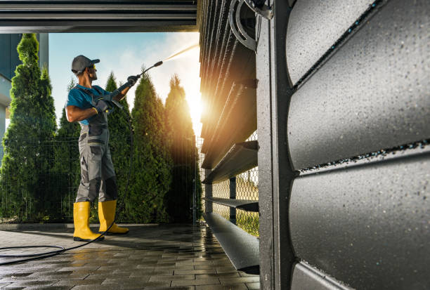Best Deck Cleaning Services  in Lake Crystal, MN