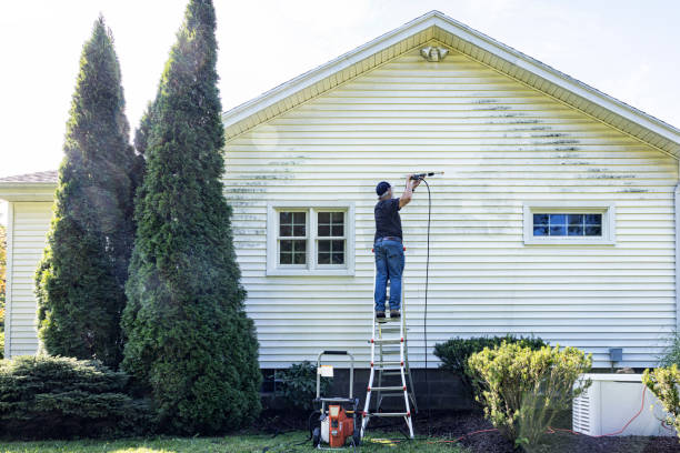 Best Best Pressure Washing Companies  in Lake Crystal, MN