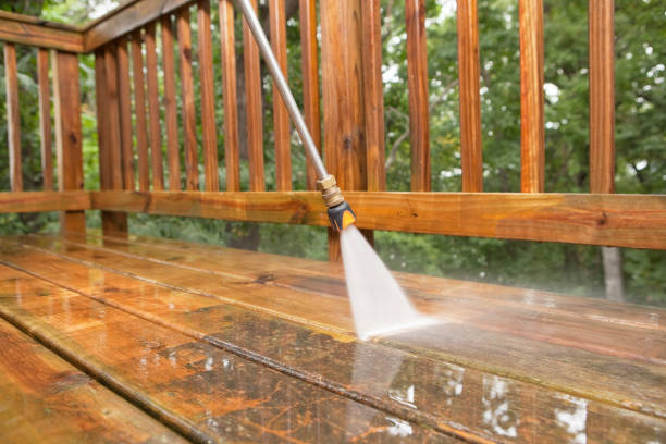 Best Roof Pressure Washing  in Lake Crystal, MN