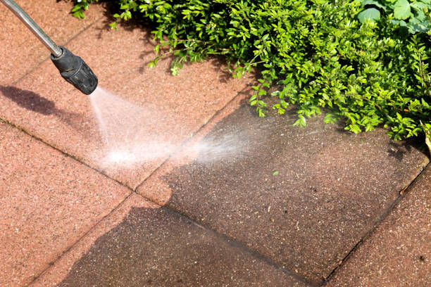 Deck Cleaning Services in Lake Crystal, MN